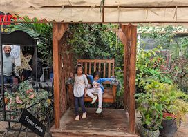 Harvana Food Affairs