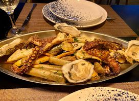 Octopus Oualidia