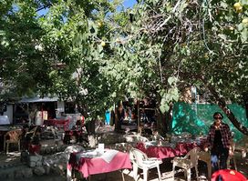 Penguin garden restaurant