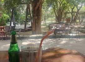 Dacha Tree Cafe, Gallery & Deli