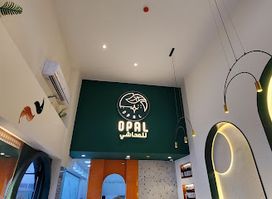 Mahashi OPAL