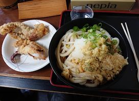 Sanuki udon Tamari
