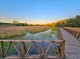 Kopački rit Nature Park