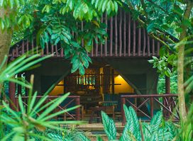Kibale Forest Camp
