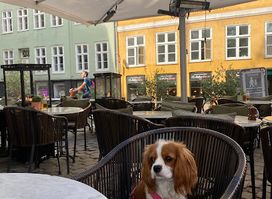 Restaurant Sole D’Italia - København