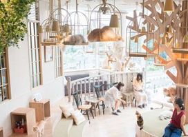 Cat Cafe MOCHA Harajuku