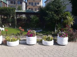 BAQJA