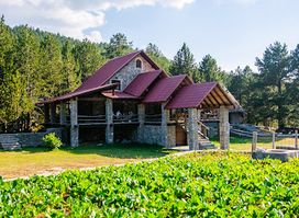Restoran Stara kuća - Korita