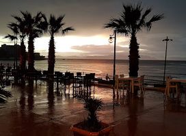 Palm Beach Cafe Restaurant-bar