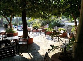 Petrino Garden
