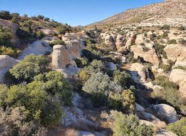 Dana Reserve