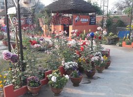 Lotus Garden/Hotel/Restaurant/Nepali Thali/Food