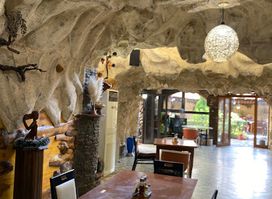 Taverna Lion