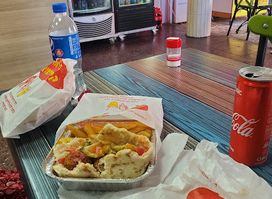 The falafel and shwarma