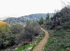 Horsh Ehden