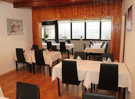 Bistro Zlatna Lisica