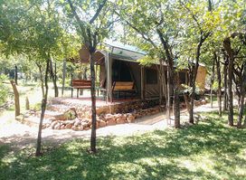 Warthogs Safari Camp Kariba