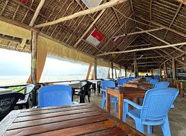 The New Big Tree Beach Resort