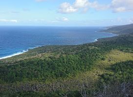 Margaret Knoll Lookout
