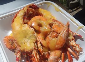 Out A Road Crabby