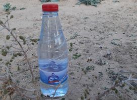 كفتيريا الدلة العربية