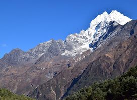 Alisha Regmi Hotel And Restaurant