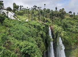Mount Elgon National Park