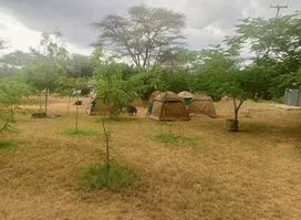 Baringo Tours, Boats and Excursions