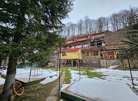 Green Paradise Restaurant