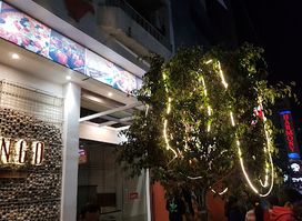 Adingo Foods