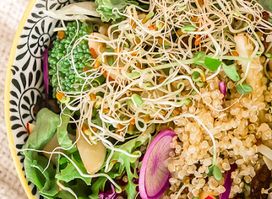Citrine Salads