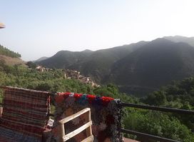 Jamila Inn
