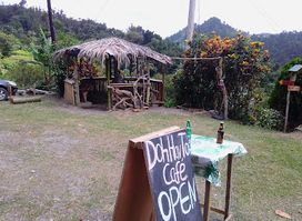 DohHavTo Café