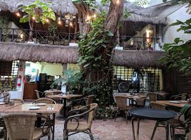 100% Natural Playa del Carmen