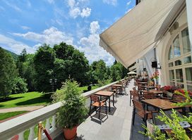 Restaurant Palace Sinaia