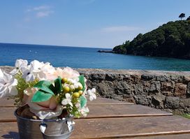 The Beach Cafe
