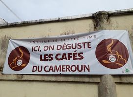 Cafés du Cameroun