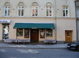 Krogen Soldaten Svejk