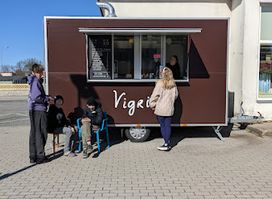 Vigrid