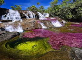 Parque Nacional Natural Serranía de La Macarena