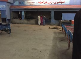 Al Waqeel Restaurant