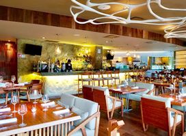 Harry's Steakhouse & Raw Bar | Cancun