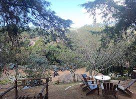 El Restaurante de Julio