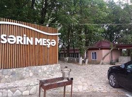 Sərin meşə