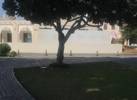 Zwain Restaurant