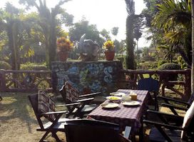 Jungle View V Restaurant