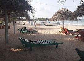 New Tonic's Beach Restaurant