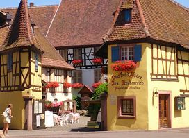 Bratschall Manala