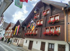 Ochsen