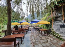 The Lazy Dog Lounge